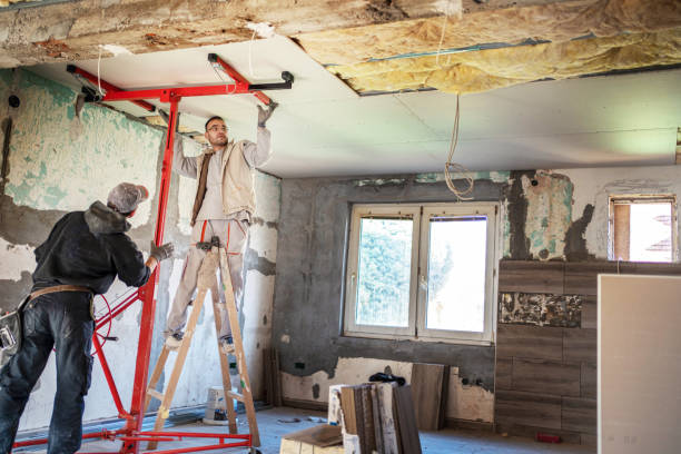 Best Insulation Contractors for Homes  in Laredo, TX
