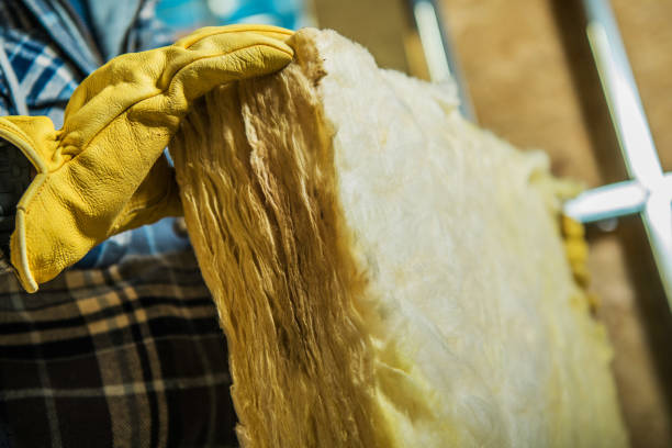 Best Spray Foam Insulation  in Laredo, TX