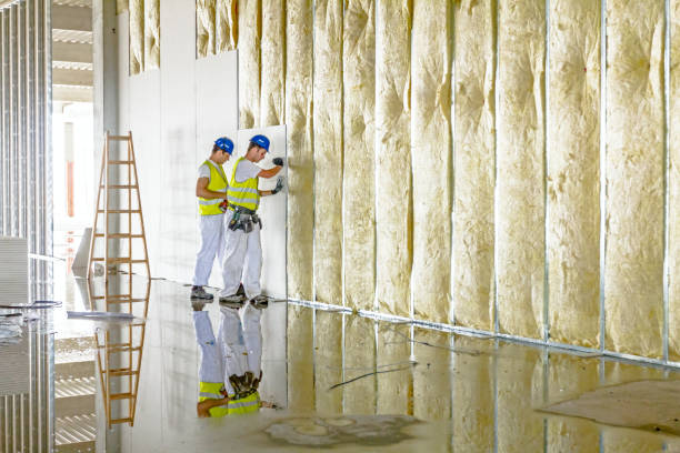 Attic Insulation Near Me in Laredo, TX